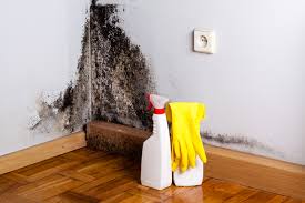 Best Mold Prevention Services  in Merrick, NY